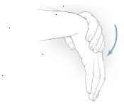 Zápěstí extensor úsek